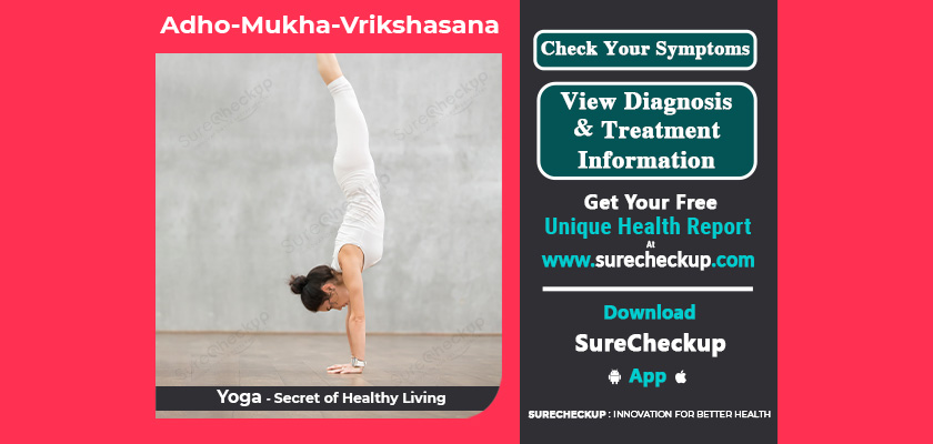 What is Adho Mukha Vrikshasana, Its Benefits & Precautions