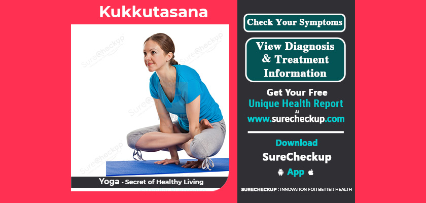 What is Kukkutasana, Its Benefits & Precautions