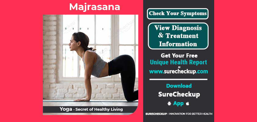 What is Majrasana, Its Benefits & Precautions