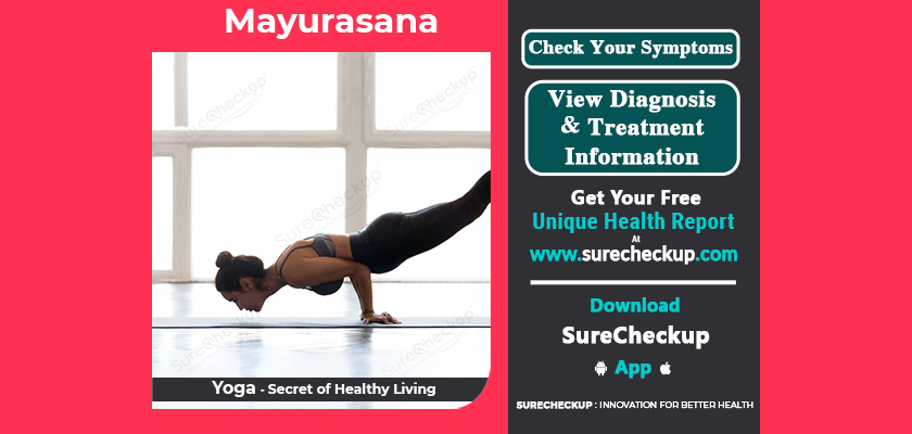 what-is-mayurasana-its-benefits-precautions-surecheckup